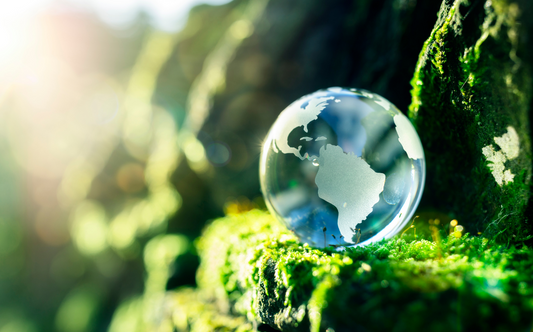 Sustainability