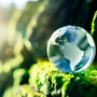 Sustainability