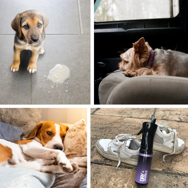Odour Eliminator™